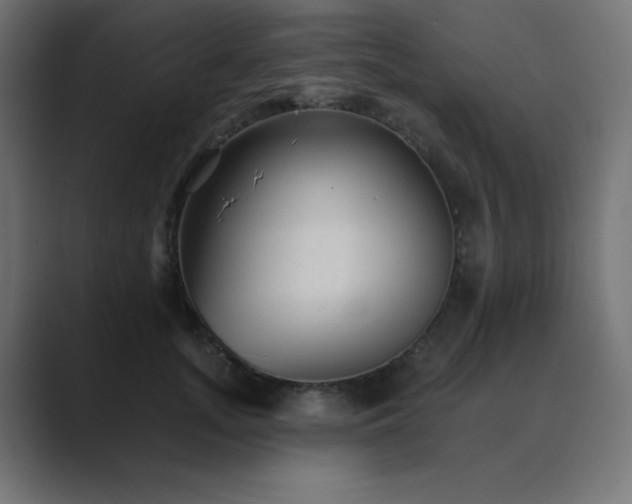 X0000089960755200706291229