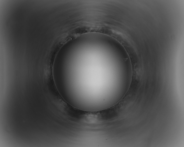 X0000089960756200706291229