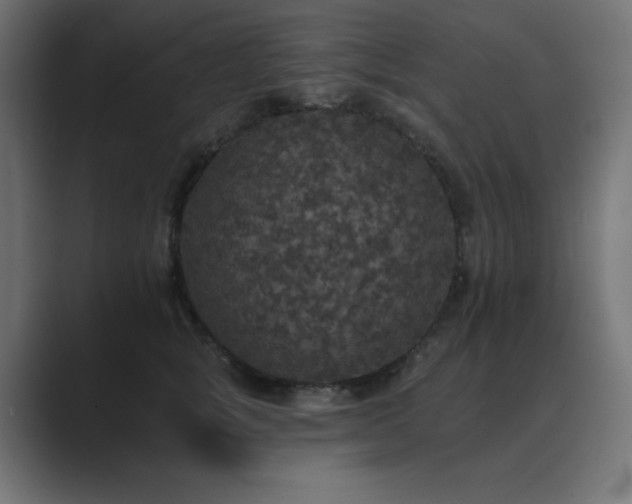X0000089960757200706291229