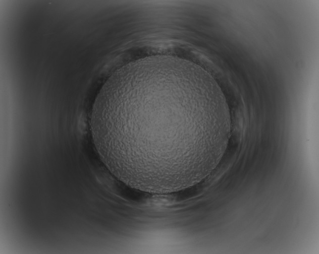 X0000089960758200706291229