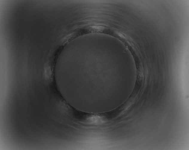 X0000089960759200706291229