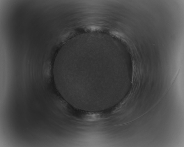 X0000089960760200706291229