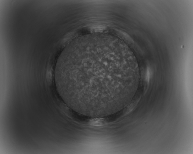 X0000089960761200706291229