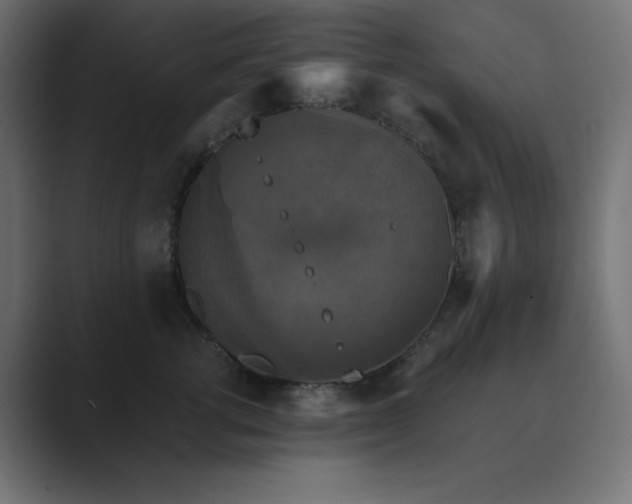 X0000089960762200706291229