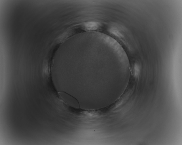 X0000089960763200706291229