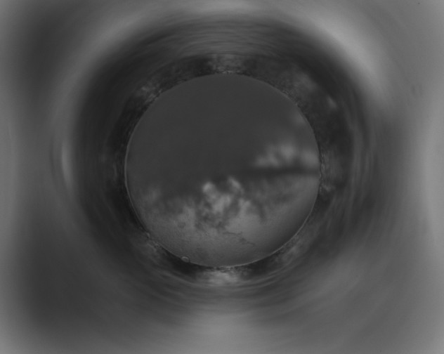 X0000089960765200706291229