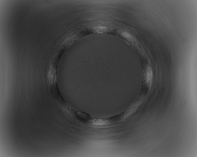 X0000089960766200706291229