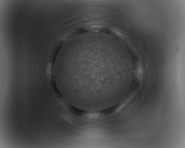 X0000089960767200706291229
