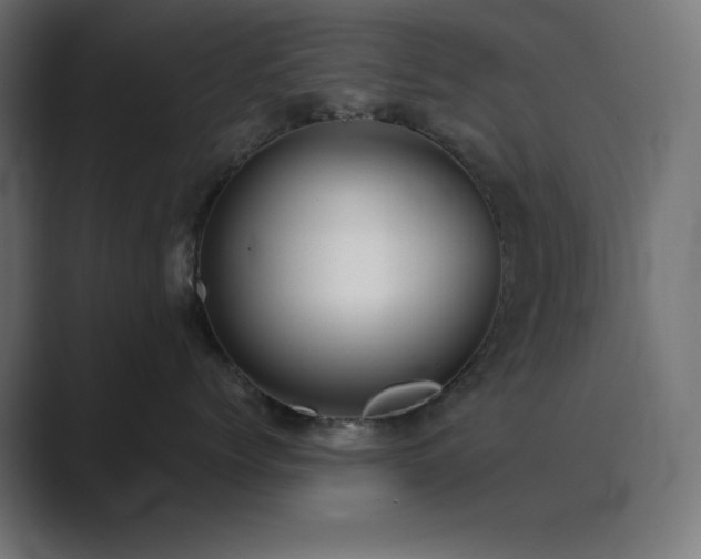 X0000089960768200706291229