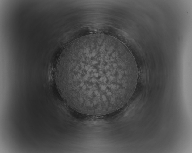 X0000089960770200706291229