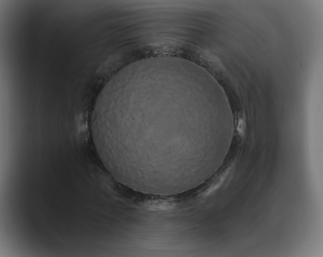 X0000089960771200706291229