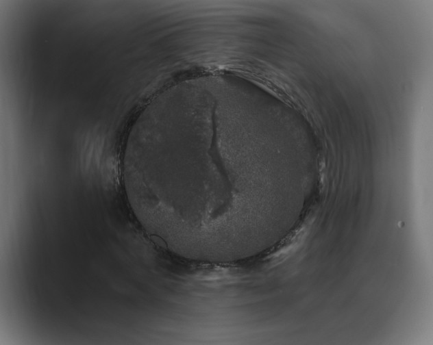 X0000089960772200706291229
