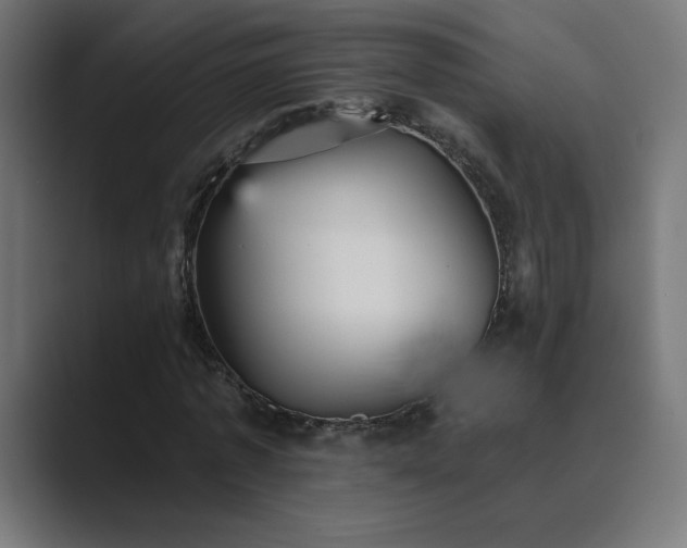 X0000089960773200706291229