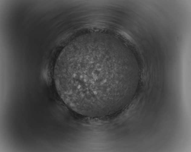 X0000089960774200706291229