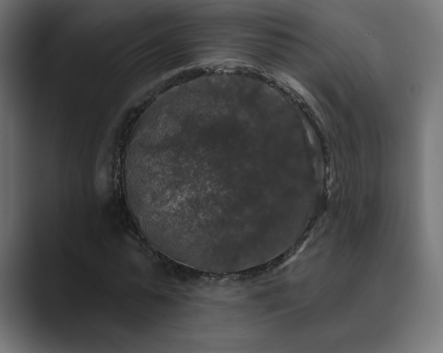 X0000089960775200706291229