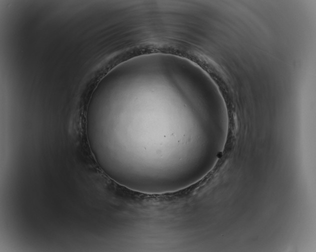 X0000089960776200706291229