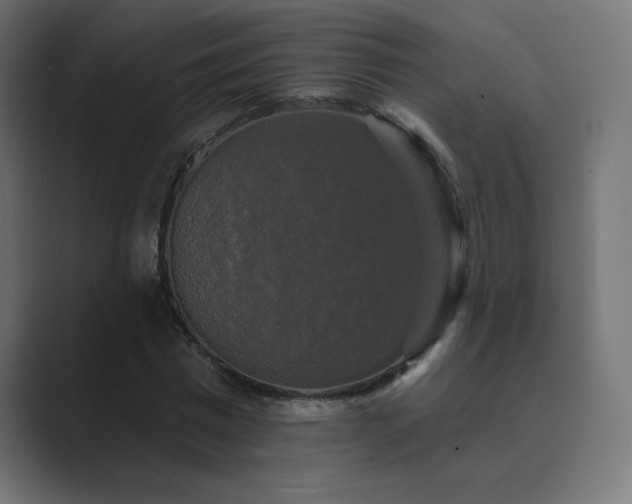 X0000089960777200706291229