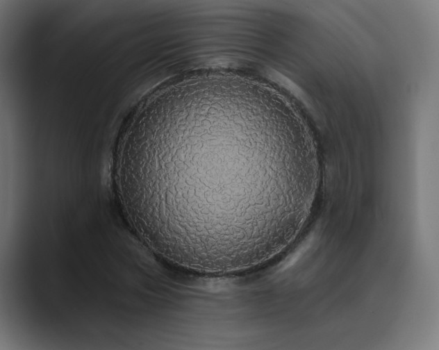 X0000089960778200706291229
