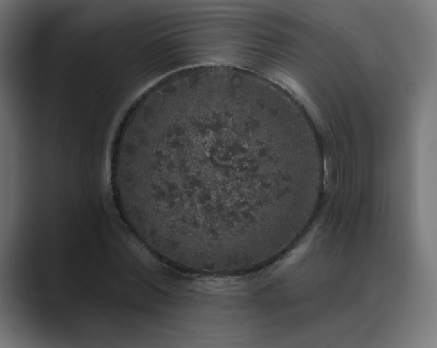 X0000089960780200706291229