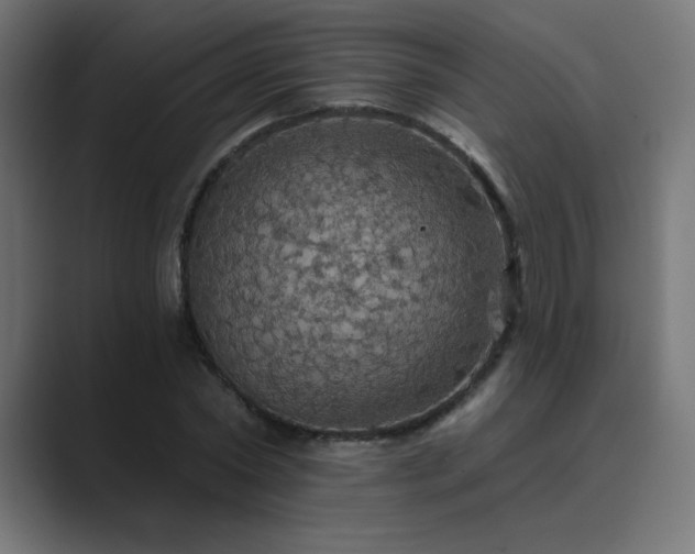 X0000089960782200706291228