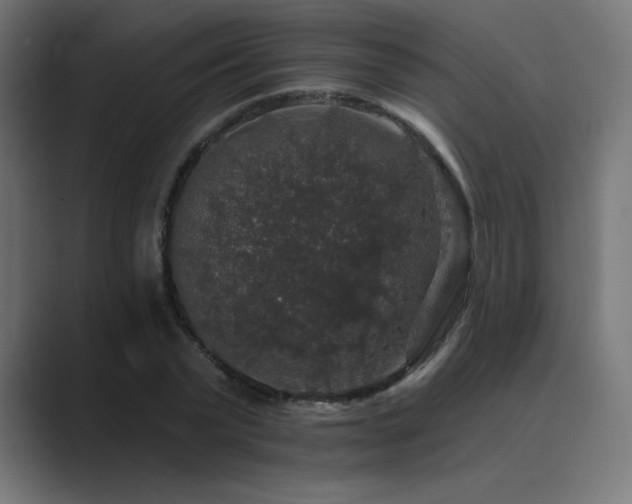 X0000089960783200706291228
