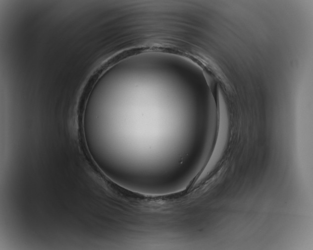 X0000089960784200706291228