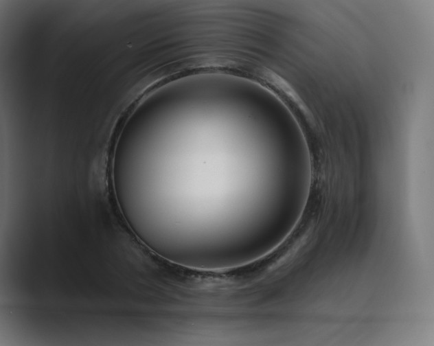X0000089960786200706291228