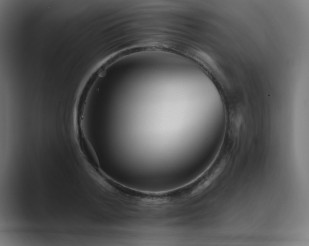 X0000089960788200706291228