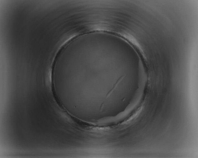 X0000089960790200706291228