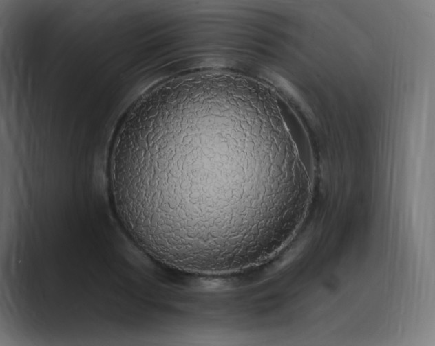 X0000089960794200706291228