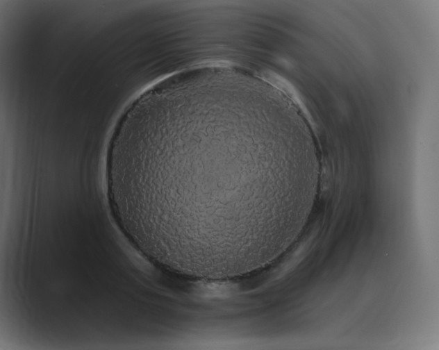 X0000089960795200706291228
