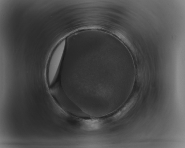 X0000089960797200706291228