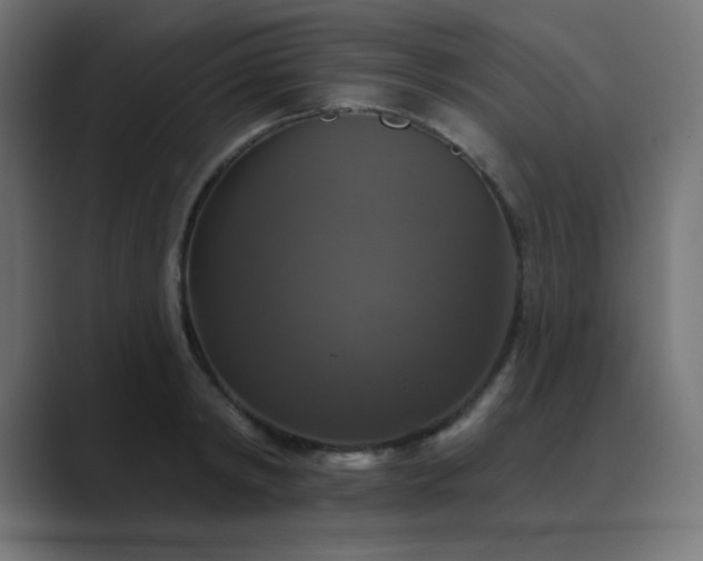 X0000089960798200706291228