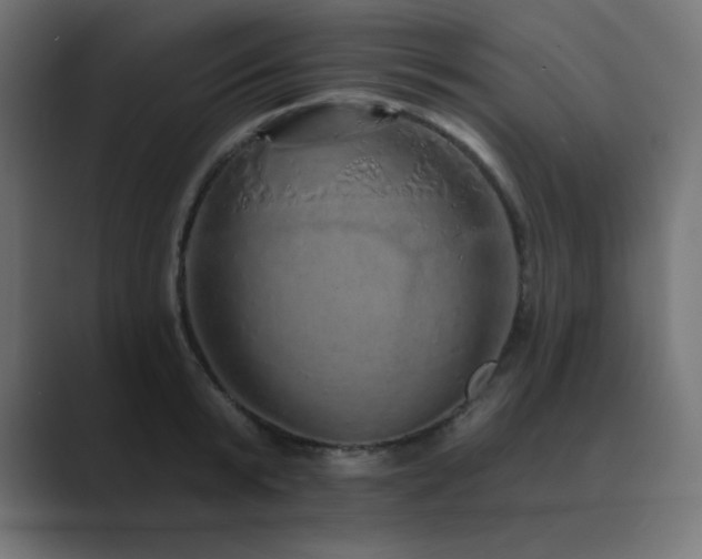 X0000089960799200706291228