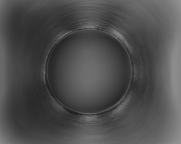 X0000089960802200706291228