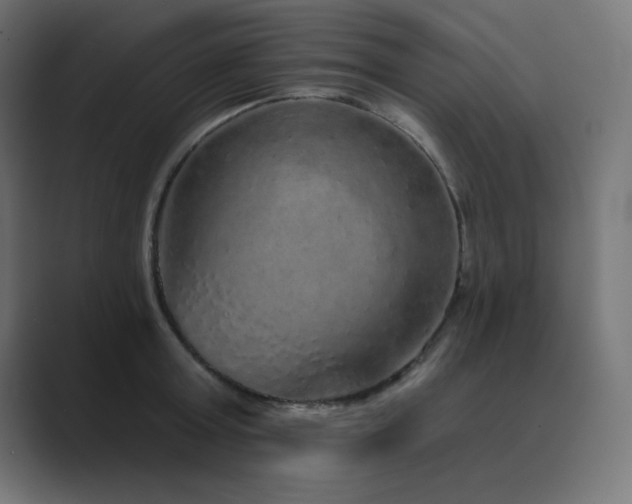 X0000089960803200706291228