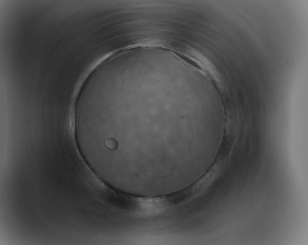 X0000089960804200706291228