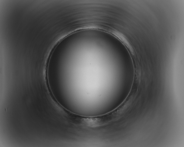 X0000089960805200706291228