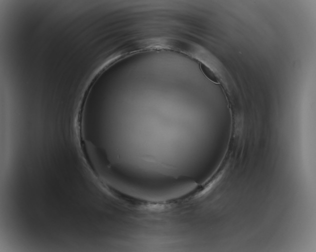 X0000089960806200706291228