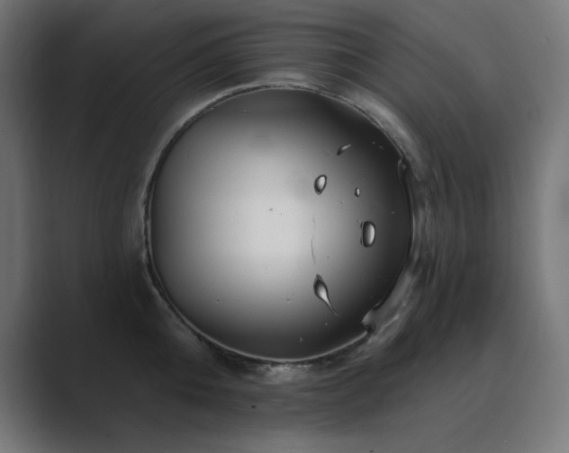 X0000089960808200706291228
