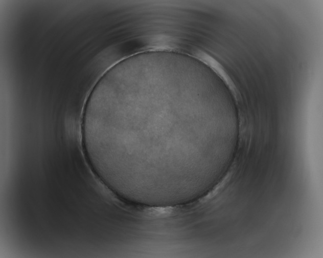 X0000089960810200706291228