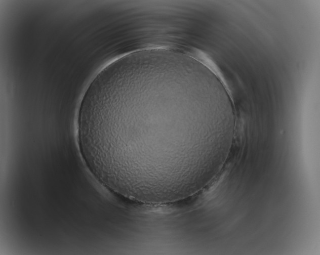 X0000089960811200706291228