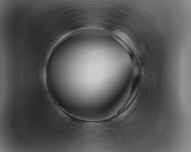X0000089960812200706291228