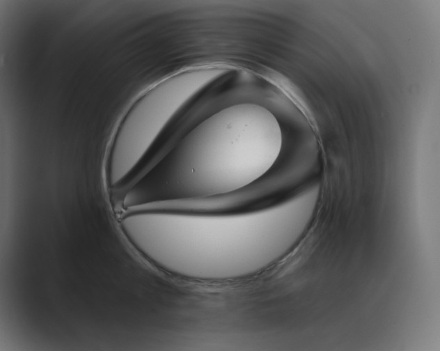 X0000089960813200706291228