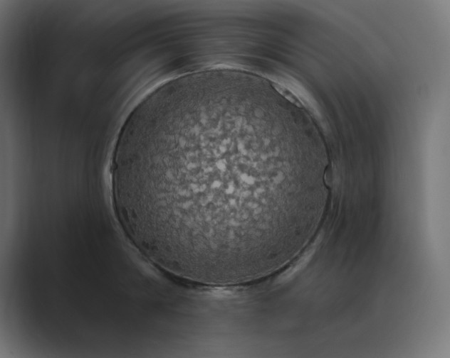 X0000089960814200706291228