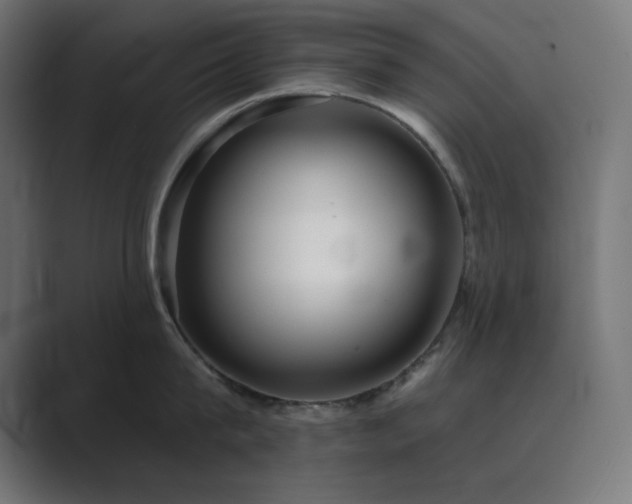 X0000089960815200706291228