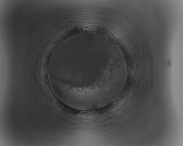 X0000089960817200706291228