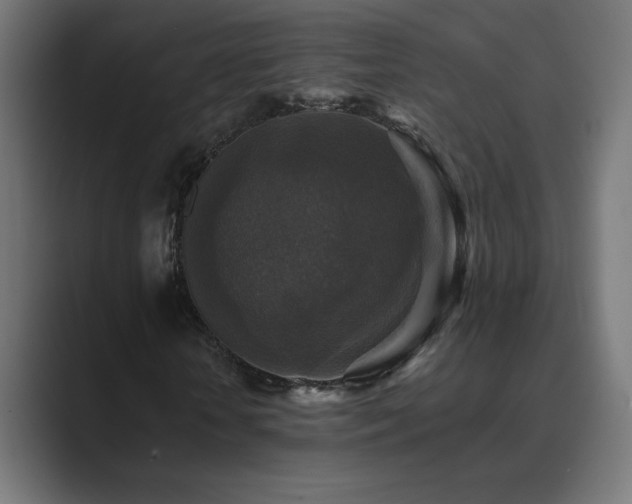 X0000089960818200706291228