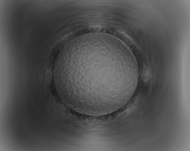 X0000089960821200706291228