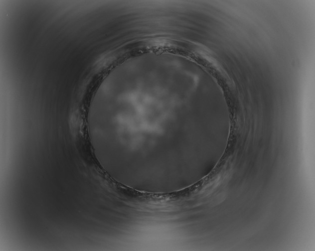 X0000089960823200706291228